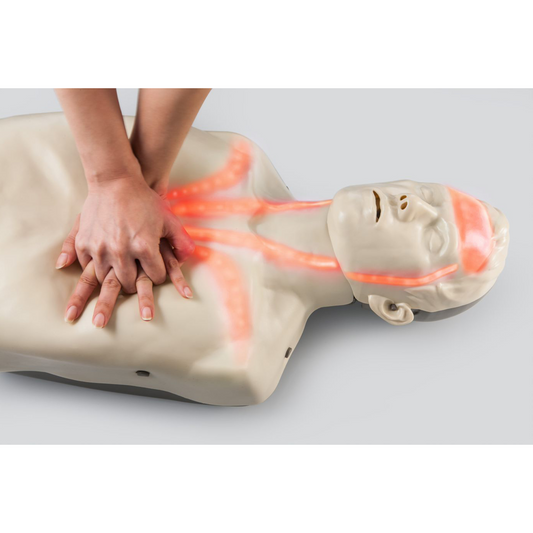 Light Gray Brayden Adult Advanced Manikin - Red Light