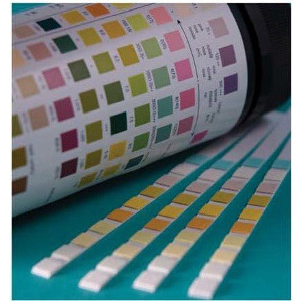 Slate Gray SureScreen Urinalysis strips - 11 Parameters - 50 STRIPS
