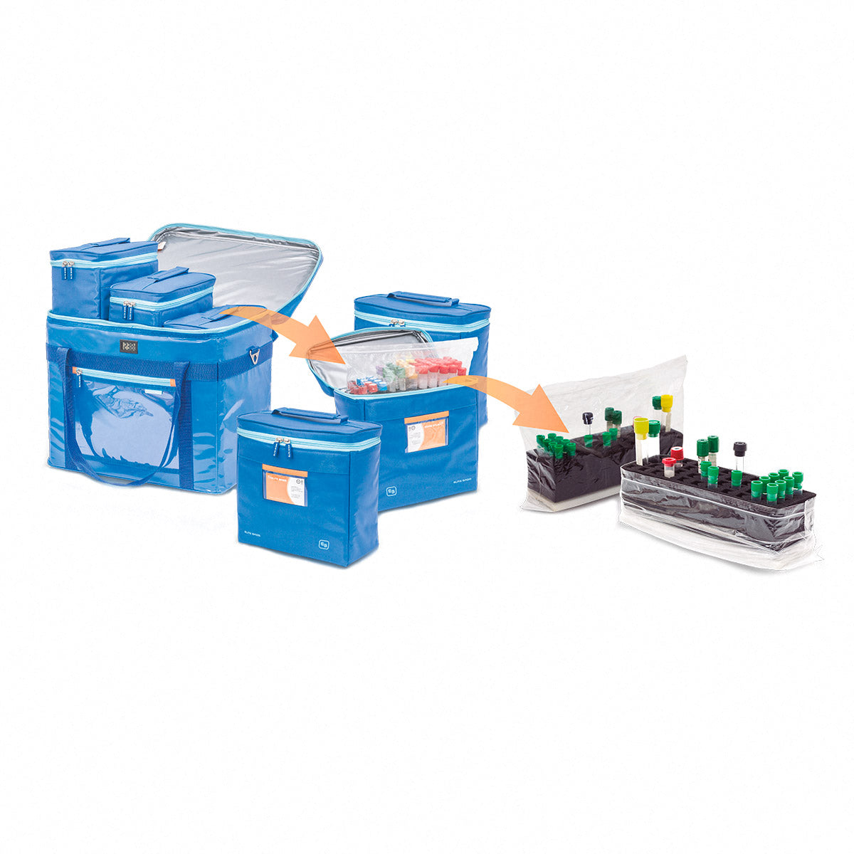 Elite Bags Isothermal Bag for Sample Transportation - EB04.003