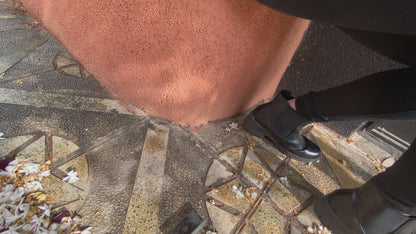 Elite Bags - Insulated Diabetic Bag - Pink