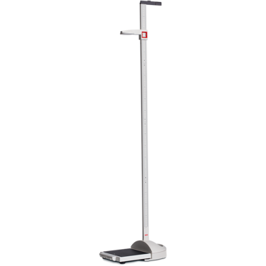 Light Gray seca 874 - Flat Scale with Foot Switches and Double Display