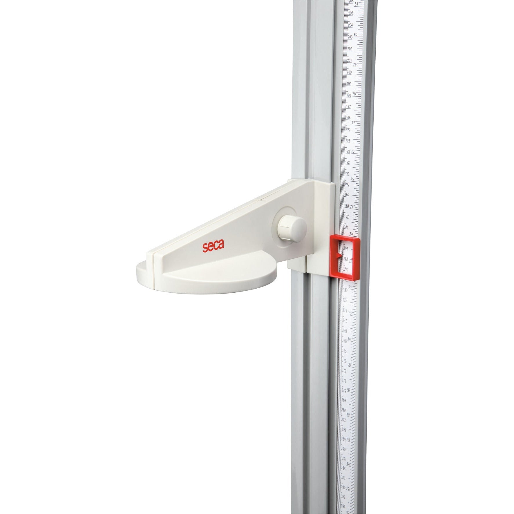 Light Gray seca 216 - Measuring Rod for Children and Adults