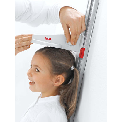 Light Gray seca 216 - Measuring Rod for Children and Adults