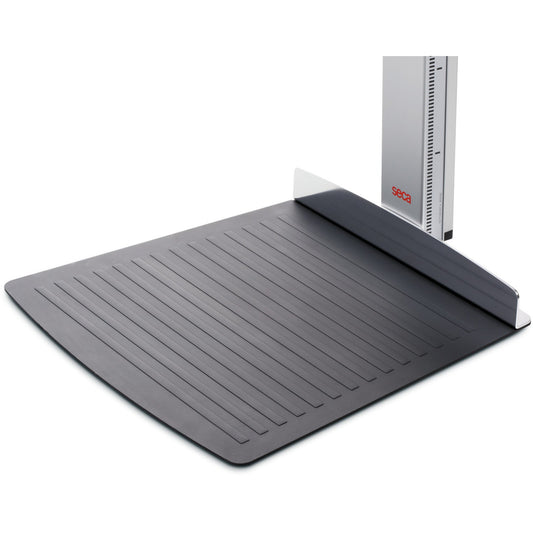 Slate Gray seca 264 - Wall-mounted Stadiometer with Display on the Headpiece