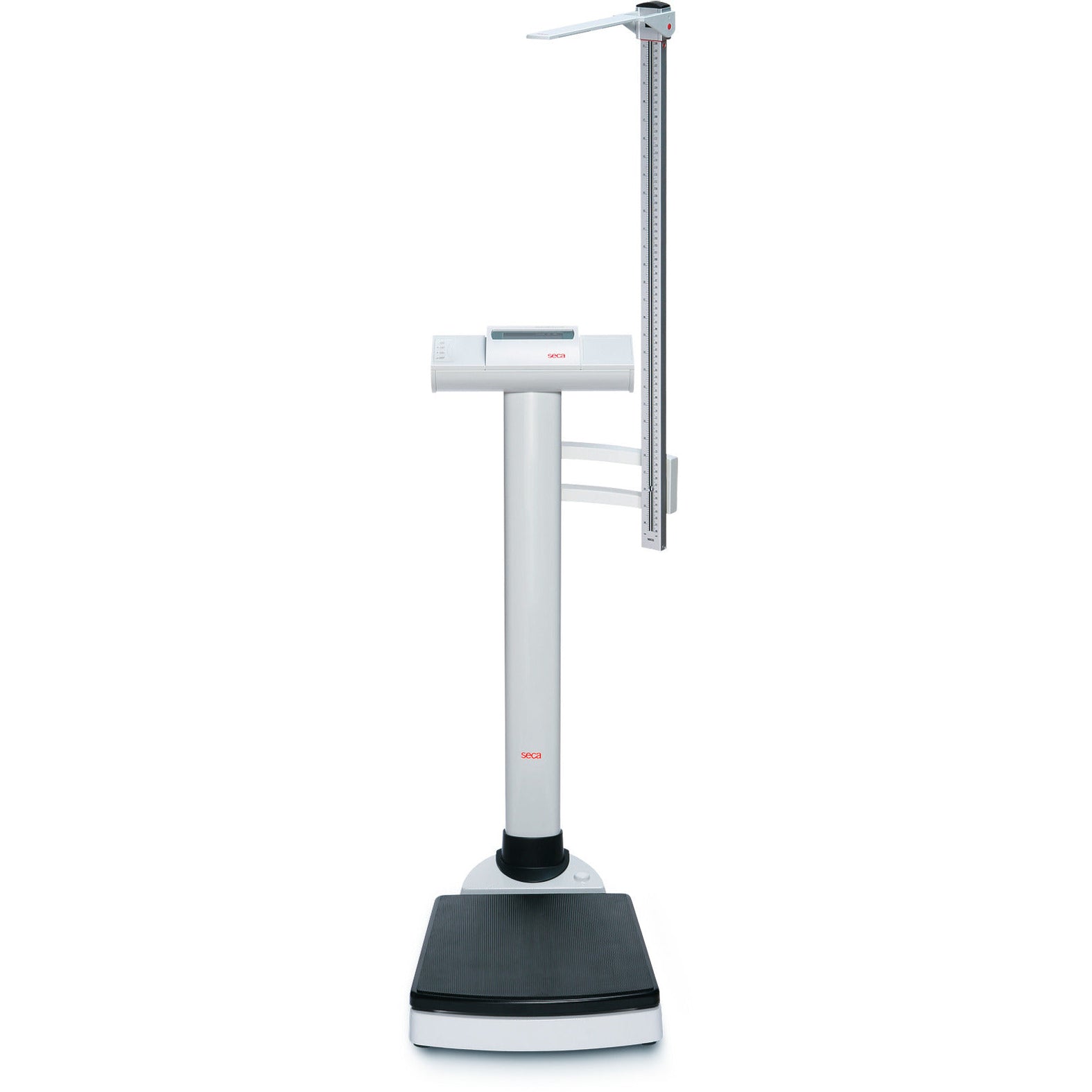 seca 704 - EMR-validated column scale with 300 kg capacity