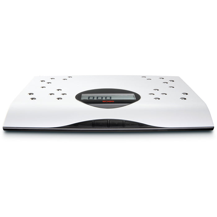 seca 804 - Flat Scale