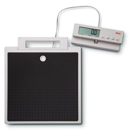 Dark Slate Gray seca 899 - Flat Scale with Cable Remote Display