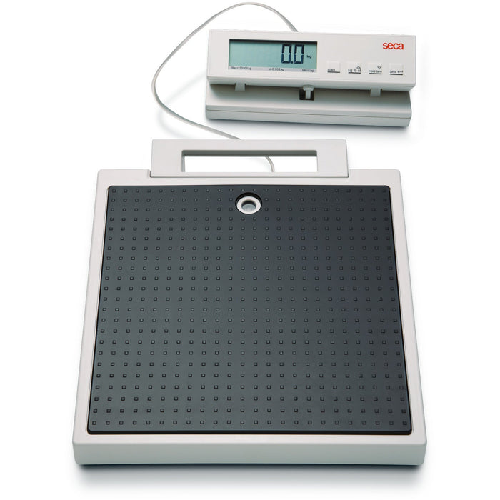 Dark Slate Gray seca 899 - Flat Scale with Cable Remote Display